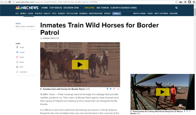 Border Patrol Horses