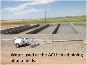 Water used at ACI fishing