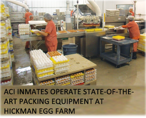 ACI Inmates at Hickman Egg Farm