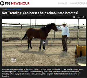 Can horses help rehabilitate inmates?