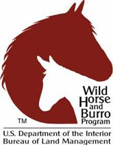 Wild Horse or Burro Program