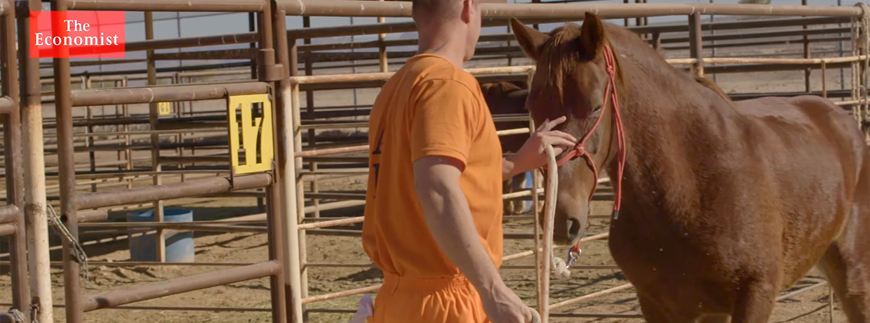 Wild Horse and Burro Inmate Program training